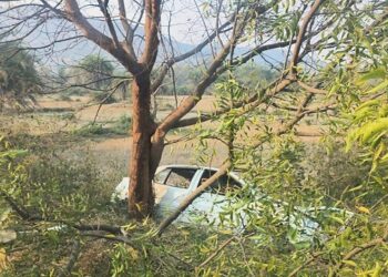 ଗଛକୁ ପିଟିଲା କାର, ଜଣେ ମୃତ