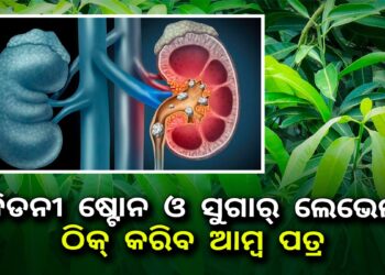 କିଡନୀ ଷ୍ଟୋନ, ଚର୍ମ ରୋଗ ଓ ହେୟାର ଫଲ୍ ଦୂର କରିବ ଆମ୍ବ ପତ୍ର, ଏପରି କରନ୍ତୁ ବ୍ୟବହାର