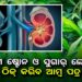 କିଡନୀ ଷ୍ଟୋନ, ଚର୍ମ ରୋଗ ଓ ହେୟାର ଫଲ୍ ଦୂର କରିବ ଆମ୍ବ ପତ୍ର, ଏପରି କରନ୍ତୁ ବ୍ୟବହାର