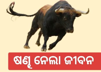 ଷଣ୍ଢ ଆକ୍ରମଣରେ ଚାଲିଗଲା ଜୀବନ