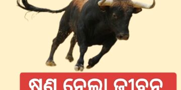 ଷଣ୍ଢ ଆକ୍ରମଣରେ ଚାଲିଗଲା ଜୀବନ