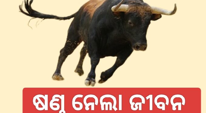 ଷଣ୍ଢ ଆକ୍ରମଣରେ ଚାଲିଗଲା ଜୀବନ