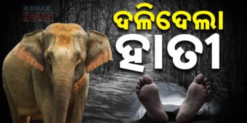 ଦୁଇ ଜଣଙ୍କୁ ଦଳି ଚକଟି ଦେଲେ ଦନ୍ତା