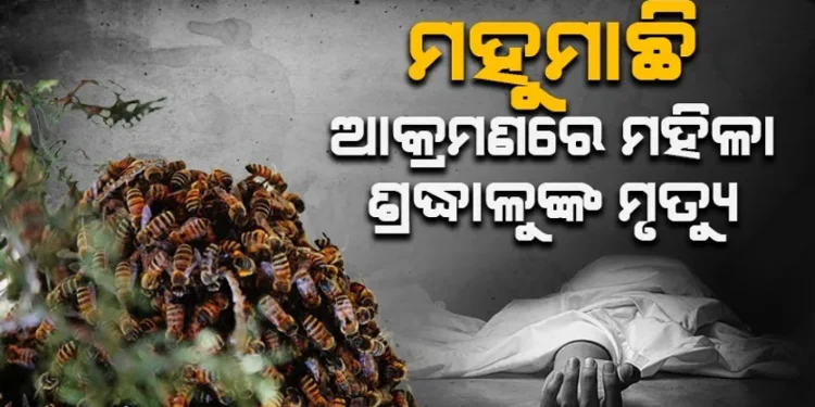 ଶିବ ମନ୍ଦିର ଯିବା ବାଟରେ ମହୁମାଛି ଆକ୍ରମଣ, ଜଣେ ମୃତ