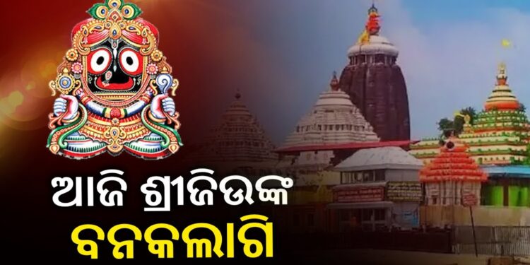 ମହାପ୍ରଭୁଙ୍କ ବନକଲାଗି ନୀତି, ଆଜି ୫ ଘଣ୍ଟା ବନ୍ଦ ରହିବ କାଳିଆ ଦର୍ଶନ