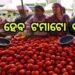 ଚାଷୀଙ୍କୁ କଲବଲ କରୁଛି ଟମାଟୋର ଅଭାବୀ ବିକ୍ରି