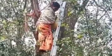 ଘରେ ଲାଗିଲେ ଝଗଡା, ଜୀବନ ହାରିବାକୁ ଗଛରେ ଚଢିଲେ ମହିଳା