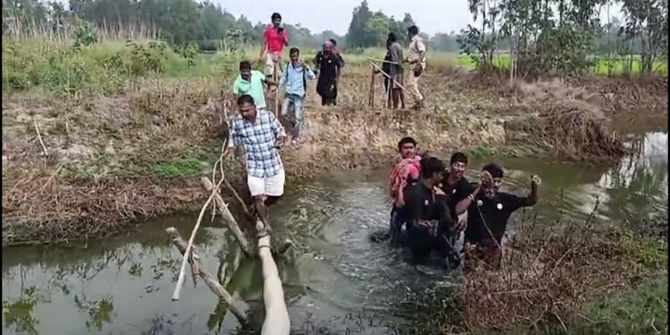 ବାଘ ଧରିବାକୁ ଯାଇ ବନ କର୍ମଚାରୀ ଗୁରୁତର