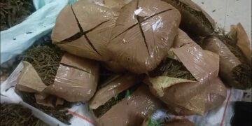 ସରକାରୀ ବସରେ ହେଉଥିଲା ଗଞ୍ଜେଇ ଚାଲାଣ, ୪୦ କେଜି ଗଞ୍ଜେଇ ସହ ନଗଦ ୨୩ ହଜାର ଜବତ