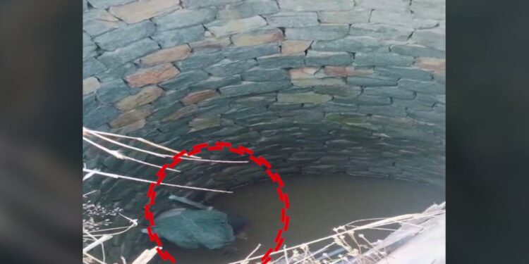 ଚୋରି କରିବାକୁ ଆସି କୂଅରେ ପଡିଲା ଚୋର, ରାତି ସାରା..