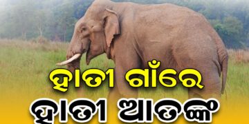 ଢେ଼ଙ୍କାନାଳ ସଦର ରେଞ୍ଜ ଅନ୍ତର୍ଗତ କାସିଆଡିହି ଗ୍ରାମରେ ଦନ୍ତା ଆତଙ୍କ