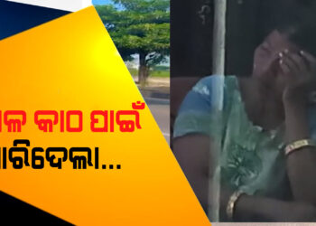 ଜାଳ କାଠ ପାଇଁ ଯାଆକୁ ହତ୍ୟା