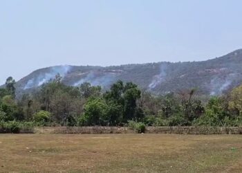 ଜଳୁଛି ବାଲେଶ୍ବର ଜିଲ୍ଲା ନୀଳଗିରି ଚାଲଣାପାଳ ଜଙ୍ଗଲ