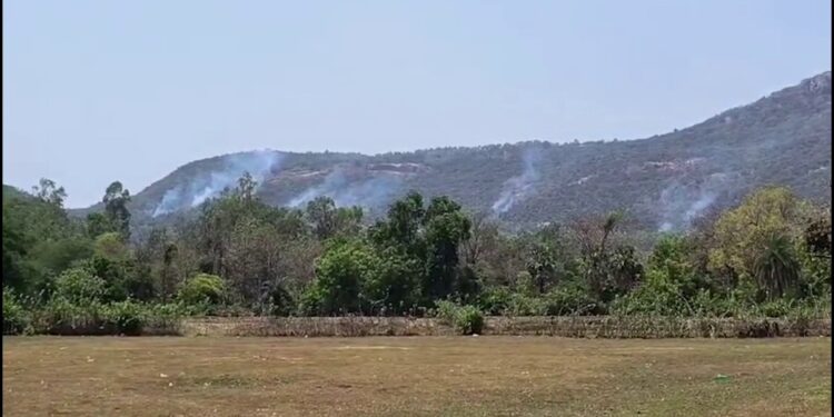 ଜଳୁଛି ବାଲେଶ୍ବର ଜିଲ୍ଲା ନୀଳଗିରି ଚାଲଣାପାଳ ଜଙ୍ଗଲ