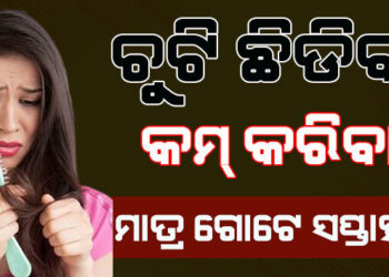 କେଶ ଝଡ଼ୁଛି କି ? କରନ୍ତୁ ଏହି ଉପାୟ ଆଉ କେବେ ଝଡ଼ିବନି..