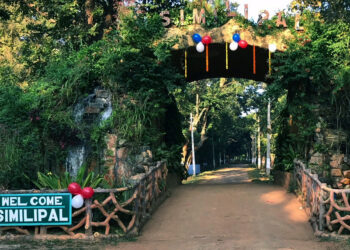 ଅକ୍ଟୋବରରୁ ଶିମିଳିପାଳରେ ବାଘ ଗଣନା