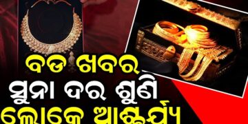 ଲକ୍ଷେ ଛୁଇଁବ ସୁନାଦର, ଦାମ ଶୁଣିଲେ ଡର ଲାଗୁଛି
