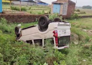 ଭାରସାମ୍ୟ ହରାଇ ଗଛରେ ପିଟି ହୋଇ ଓଲିଟିଲା ସ୍କର୍ପିଓ