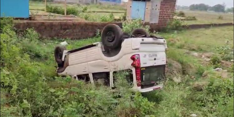 ଭାରସାମ୍ୟ ହରାଇ ଗଛରେ ପିଟି ହୋଇ ଓଲିଟିଲା ସ୍କର୍ପିଓ