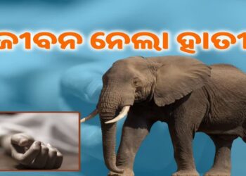 ଯୁବକଙ୍କୁ କଚାଡ଼ି ମାରିଲା ଦନ୍ତା