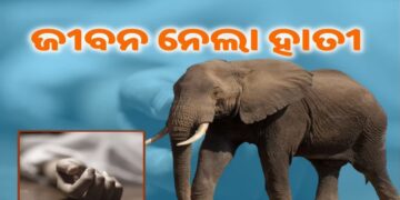 ଯୁବକଙ୍କୁ କଚାଡ଼ି ମାରିଲା ଦନ୍ତା