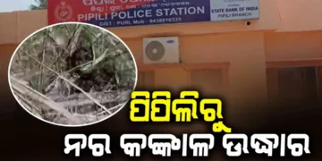 ପିପିଲିରୁ ନର କଙ୍କାଳ ଉଦ୍ଧାର