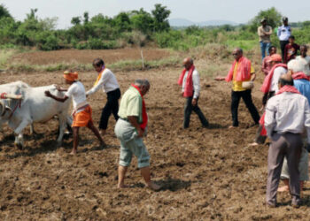 ସୋଆ କୃଷି ମହାବିଦ୍ୟାଳୟରେ ଅଖିମୁଠି ଅନୁକୂଳ
