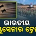 ଉତ୍ତରପ୍ରଦେଶର ଗଙ୍ଗା ଏକ୍ସପ୍ରେସ ୱେରେ ବାୟୁସେନାର ଗର୍ଜନ