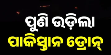 ସୀମାରେ ପୁଣି ଦେଖାଗଲା ଡ୍ରୋନ୍