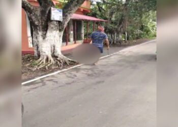 ଭାଉଜର ମୁଣ୍ଡ କାଟିଦେଲା ଦିଅର