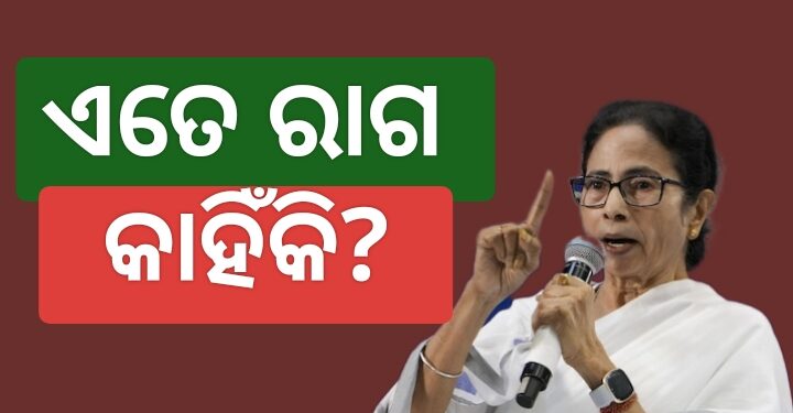 ଦୀଘା ଜଗନ୍ନାଥ ମନ୍ଦିର ବିବାଦ: ଏମିତି କହିଲେ ମମତା