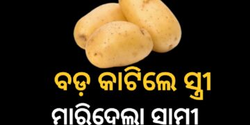 ଛୋଟ ବଦଳରେ ବଡ଼ ସାଇଜ ଆଳୁ କାଟିଦେଲେ ସ୍ତ୍ରୀ,କୋଦାଳରେ ସ୍ତ୍ରୀଙ୍କ ବେକ କାଟିଦେଲା ସ୍ୱାମୀ