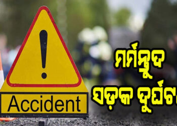 ଗଛରେ ବାଡେଇ ହେଲା ବାଇକ୍