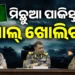 ସେନା ଖୋଲିଲାପାକିସ୍ତାନର ମିଛ, ଜାଣନ୍ତୁ କଣ ସବୁ କହୁଥିଲା ?