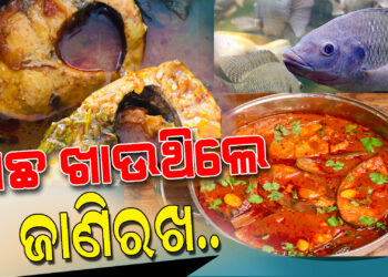ଅଧିକ ପରିମାଣର ମାଛ ଖାଉଛନ୍ତି କି ? ଜାଣି ରଖନ୍ତୁ କେଉଁସବୁ ଅସୁବିଧାର ହେବେ ସମ୍ମୁଖୀନ