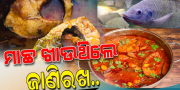 ଅଧିକ ପରିମାଣର ମାଛ ଖାଉଛନ୍ତି କି ? ଜାଣି ରଖନ୍ତୁ କେଉଁସବୁ ଅସୁବିଧାର ହେବେ ସମ୍ମୁଖୀନ