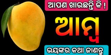 ଆମ୍ବ ଖାଇବା ପରେ ଭୁଲରେ ମଧ୍ୟ ଖାଆନ୍ତୁ ନାହିଁ ଏହି ଖାଦ୍ୟ !!
