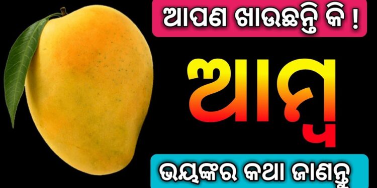 ଆମ୍ବ ଖାଇବା ପରେ ଭୁଲରେ ମଧ୍ୟ ଖାଆନ୍ତୁ ନାହିଁ ଏହି ଖାଦ୍ୟ !!