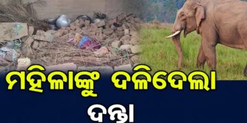 ହାତୀ ଆକ୍ରମଣରେ ମହିଳା ମୃତ