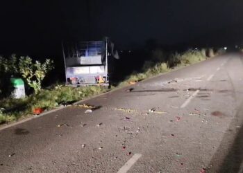 ଡାଲା ଅଟୋ ଓଲଟି ଦୁଇ ମୃତ ଓ ୧୪ ଜଣ ଗୁରୁତର