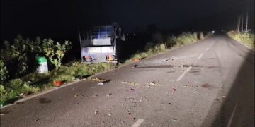 ଡାଲା ଅଟୋ ଓଲଟି ଦୁଇ ମୃତ ଓ ୧୪ ଜଣ ଗୁରୁତର
