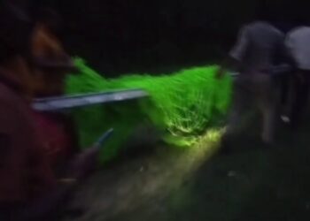 ଆମ୍ବ ଖାିବାକୁ ଆସି କୂଅରେ ଫସିଲା ଭାଲୁ