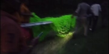 ଆମ୍ବ ଖାିବାକୁ ଆସି କୂଅରେ ଫସିଲା ଭାଲୁ