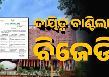 ଦାୟିତ୍ୱ ବାଣ୍ଟିଲା ବିଜେଡି