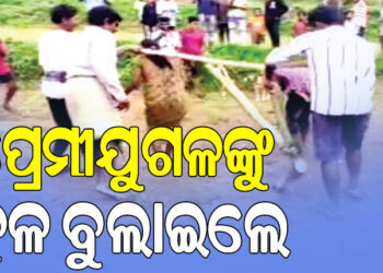 ସମାଜର କଙ୍ଗାରୁ କୋର୍ଟ; ବଳଦ ସାଜି ହଳ କଲେ ପ୍ରେମୀଯୁଗଳ …