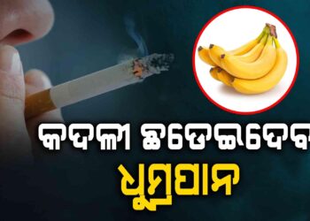 ଧୁମ୍ରପାନଠୁ ଦୂର କରିବ କଦଳୀ…