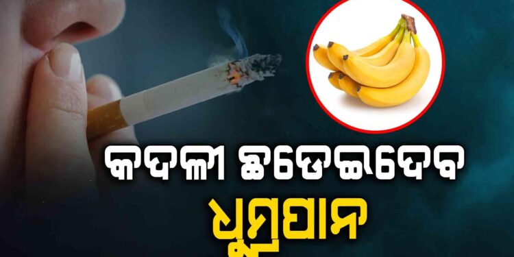 ଧୁମ୍ରପାନଠୁ ଦୂର କରିବ କଦଳୀ…