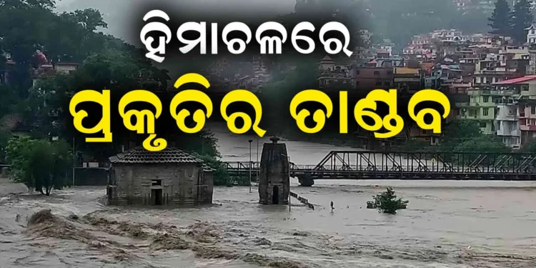 ହିମାଚଳ ପ୍ରଦେଶ ବାଦଲ ଫଟା ବର୍ଷା : ପ୍ରକୃତିର ତାଣ୍ଡବରେ ଗଲାଣି ୧୯ ଜୀବନ