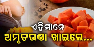 ଗର୍ଭବତୀ ମହିଳାମାନେ ଅମୃତଭଣ୍ଡା ଖାଉଛନ୍ତି କି?