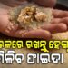 ଚାଉଳରେ ଲାଗୁଛି କି ପୋକ, ଆପଣାନ୍ତୁ ଏହି ଉପାୟ